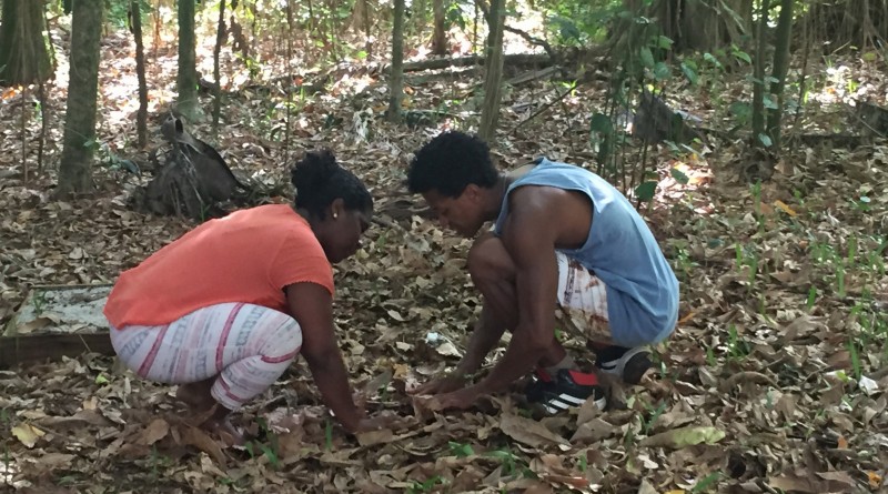 20-4-16 - Cine Dança na Grama