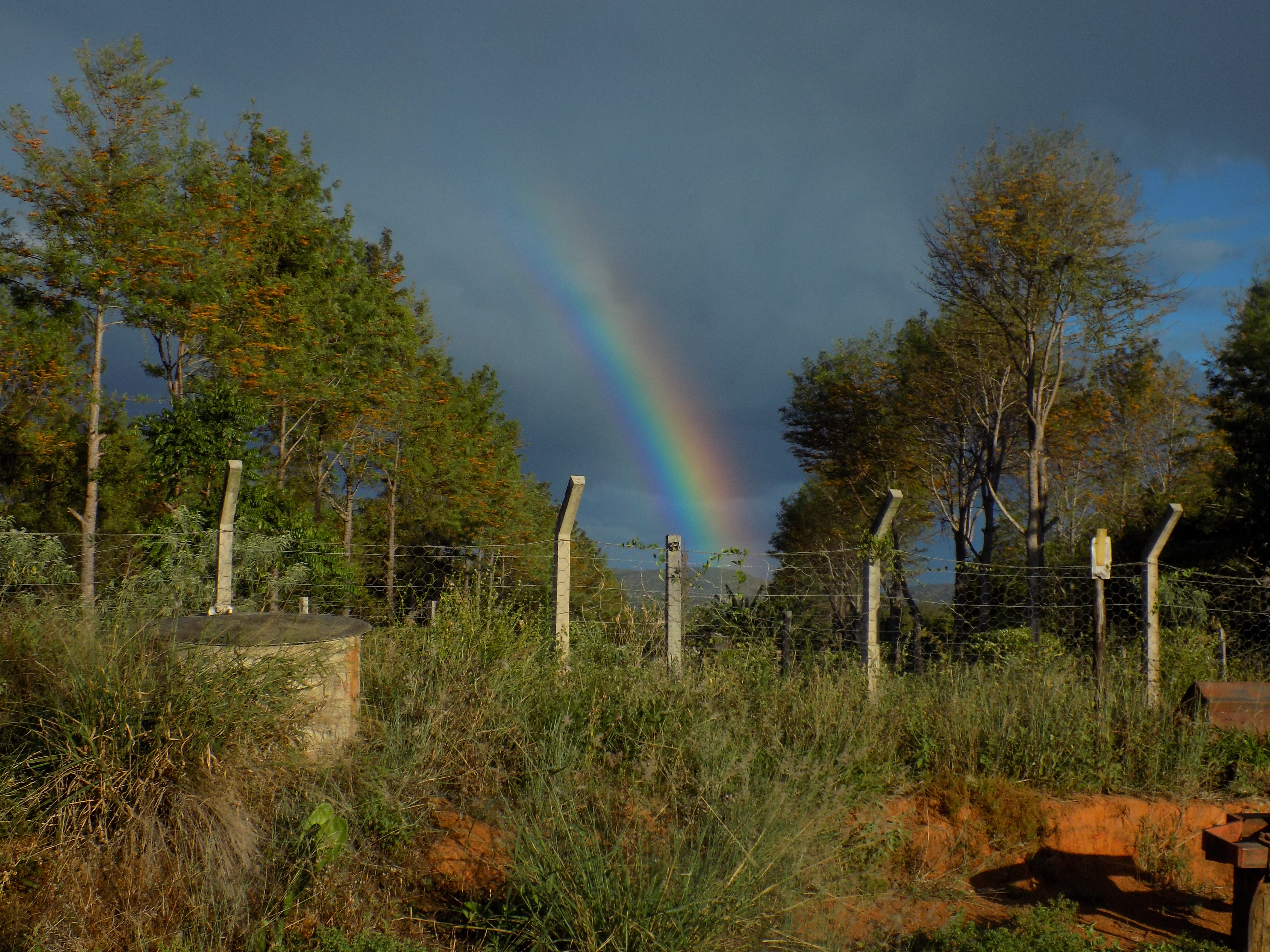 Fazenda Floresta/Divulgação