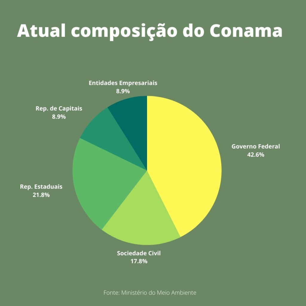 As porcentagens correspondem aos números indicados pelo Ministério do Meio Ambiente