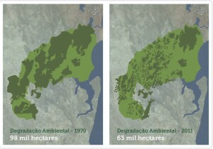 Uma nova análise sobre a conservação da vegetação nativa do Pratigi deve ser publicada no próximo ano. Segundo Bruna Sobral, o estudo, que levanta dados entre 2011 e 2018, apresenta um balanço positivo (Fonte: OCT)