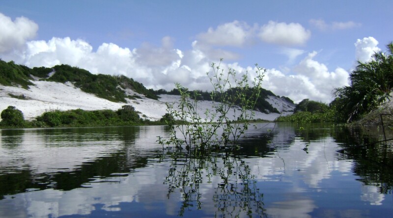 Imagem: reprodução.