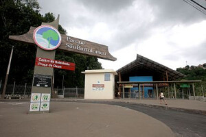 Imagem: reprodução.