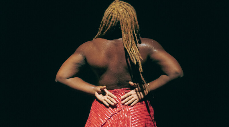 Espetáculo Sampla- é que nem cortar…