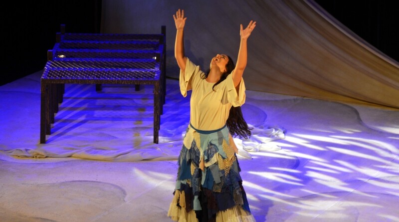 imagem (13)
