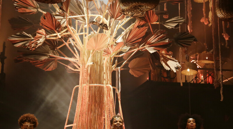 Meus_Cabelos_Baob_-_foto_por_Diney_Arajo_(4)