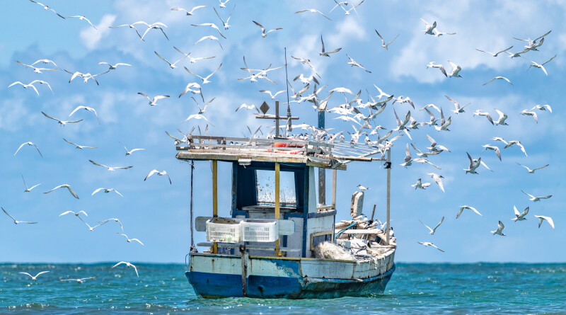 EM04032022-7529-Editarrr3