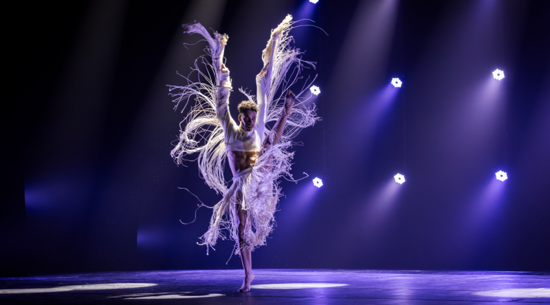 Entre a pele e a alma © Renato Mangolin_ALTA 156