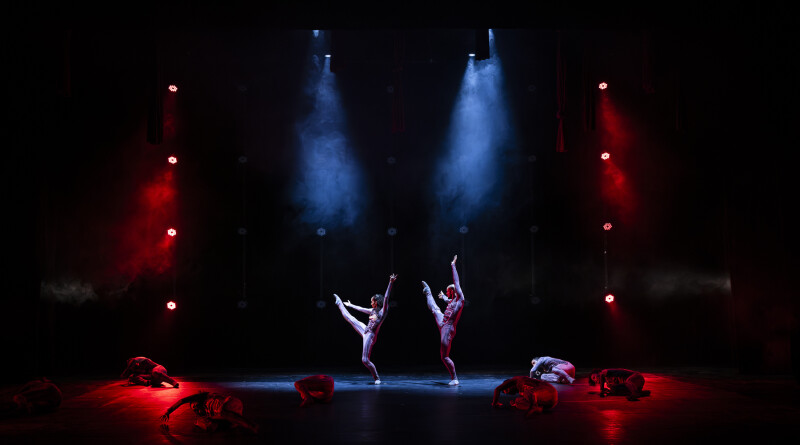 Entre_a_pele_e_a_alma__Renato_Mangolin_050