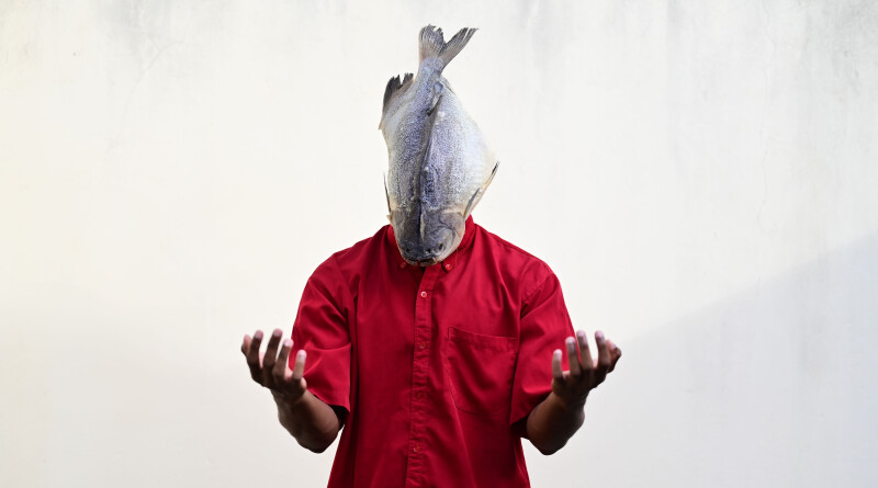 Quixabeira_Adriano_Machado