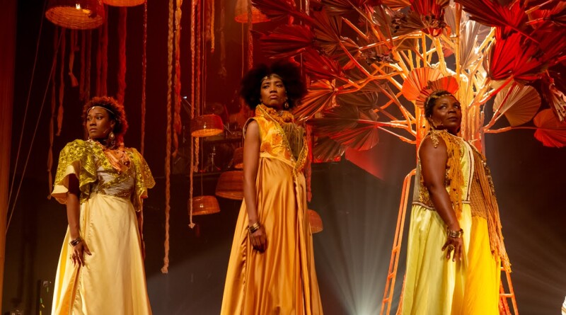 Meus Cabelos Baobá - foto por Diney Araújo (8)