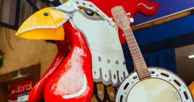 foto - 2026-01-29T185215.458