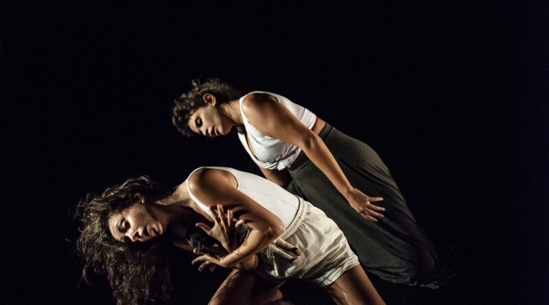 depois_do_silencio_foto_diego_bresani__BRE1015