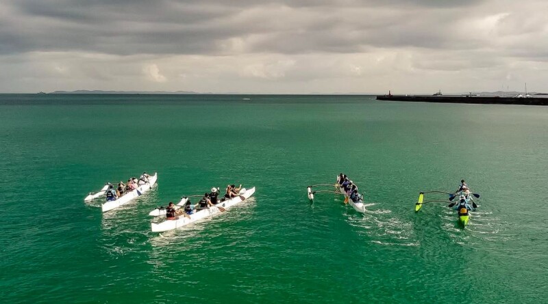 Kaiaulu_-_DivulgaA7A3o_(4)