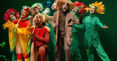 Foto_-_Os_Saltimbancos_-_2