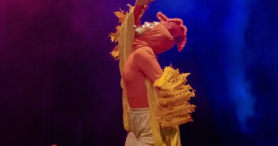 O espetáculo musical “Os Saltimbancos”, realizado pelo Centro Cultural Ensaio, chega, em abril,  ao Teatro Molière