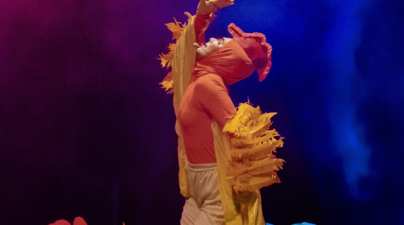 Foto_-_Os_Saltimbancos_-_6