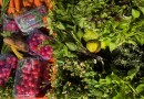 UFBA sedia pela primeira vez o Encontro de Pesquisas em Gastronomias do Brasil (ENPEGASTRO)