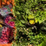 UFBA sedia pela primeira vez o Encontro de Pesquisas em Gastronomias do Brasil (ENPEGASTRO)