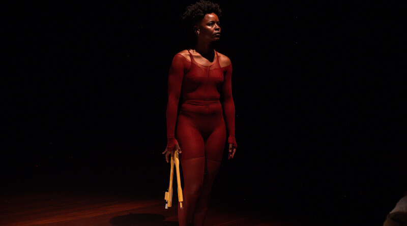 MELANINA2_Créditos_Rebeca dos Santos_Laboratório Z