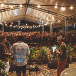 Jam no Mam encerra celebração de 27 anos com noite dedicada à “Prata da casa” 